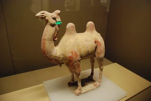 Shaanxi History Museum, China